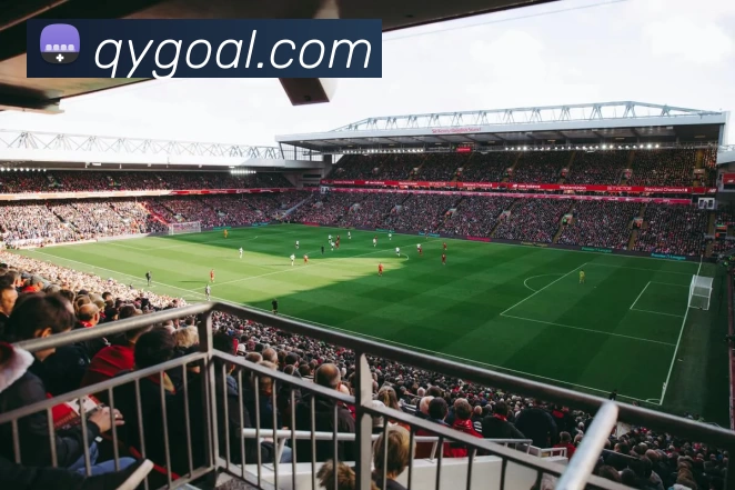 App Interface Preview